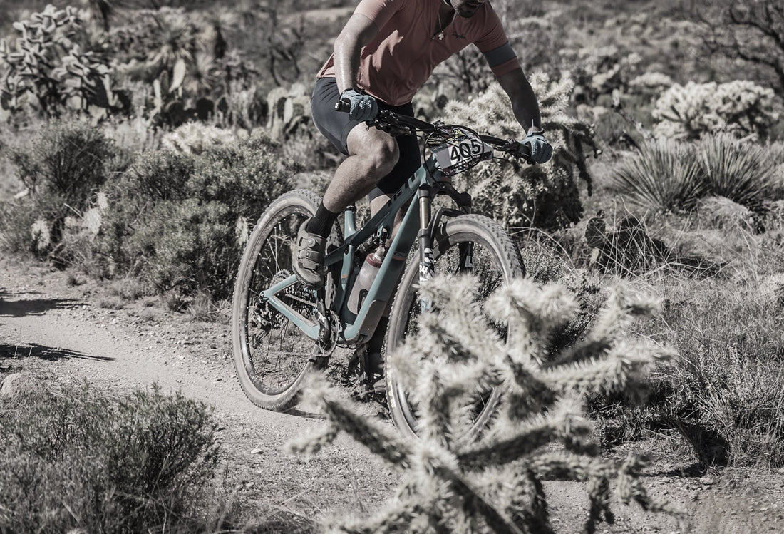 IMPORTANCIA DE LOS ELECTROLITOS + CARBOHIDRATOS