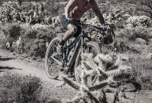 IMPORTANCIA DE LOS ELECTROLITOS + CARBOHIDRATOS